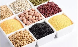 一青窈高纖蛋白奶昔攜手第十一屆全國小城鎮籃球邀請賽，共創健康未來