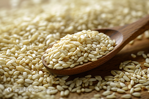 谷物 滋養(yǎng)人類的農(nóng)業(yè)基石